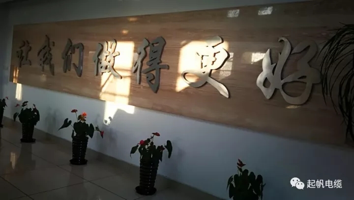第六届金山区区长质量奖公布，起帆电缆周供华榜上有名
